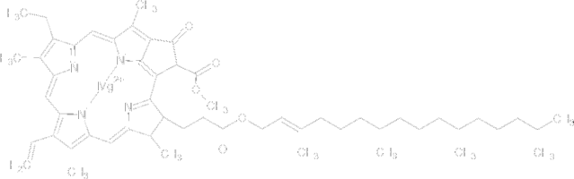 Chlorophyll a