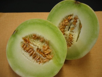 Honeydew