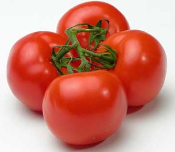Tomato